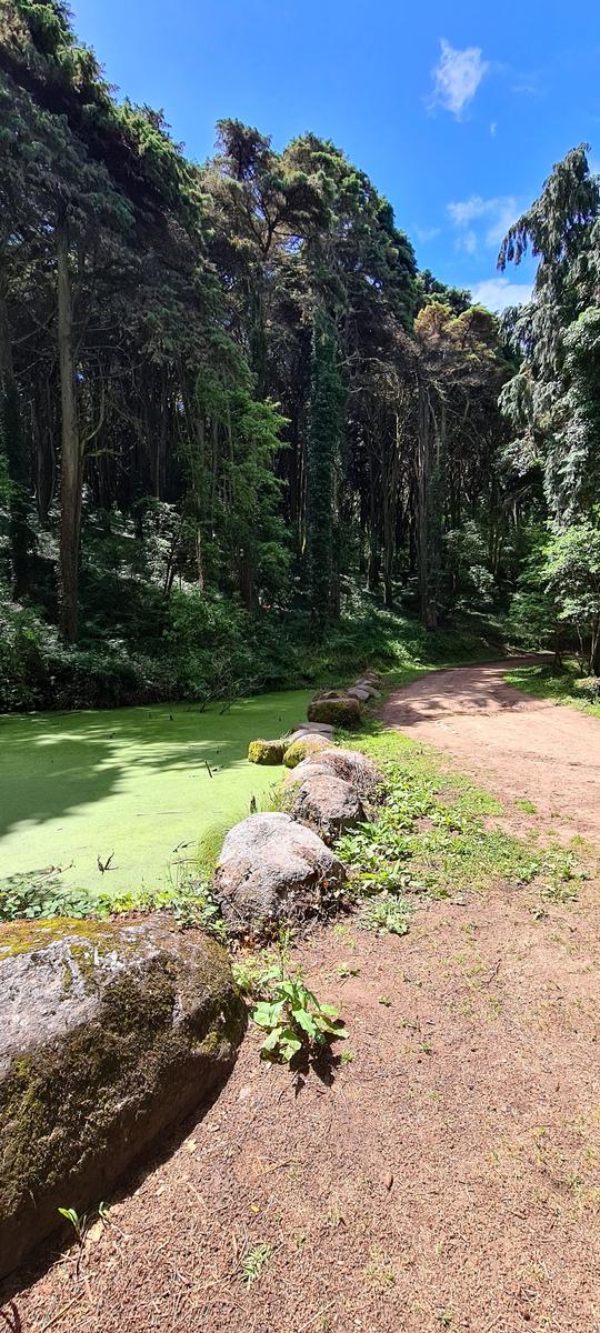 Senhora da Peninha Sintra